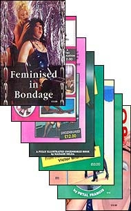 English novelette cover